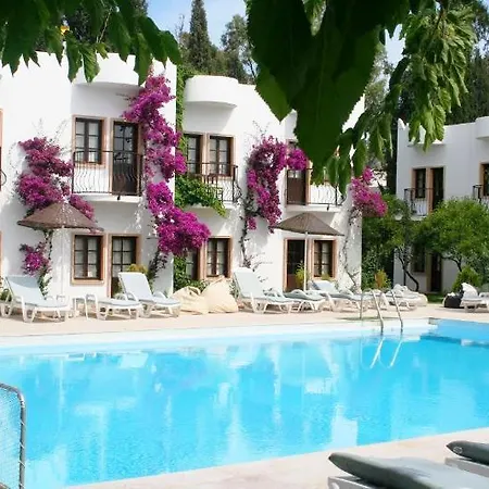 Safir Hotel 2*