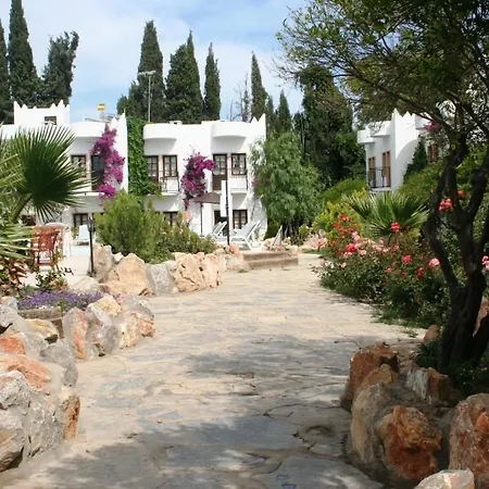 Ξενοδοχείο Safir 2*