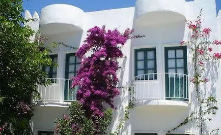 Otel Safir 2*