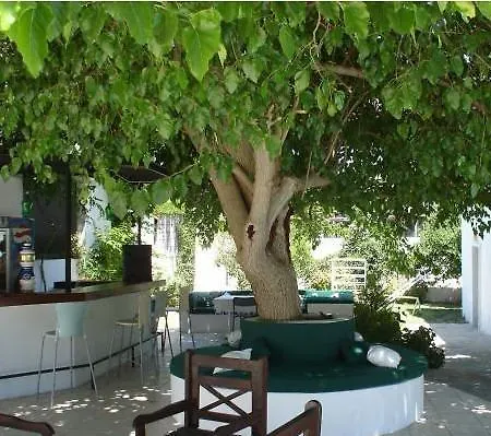 Safir Bodrum