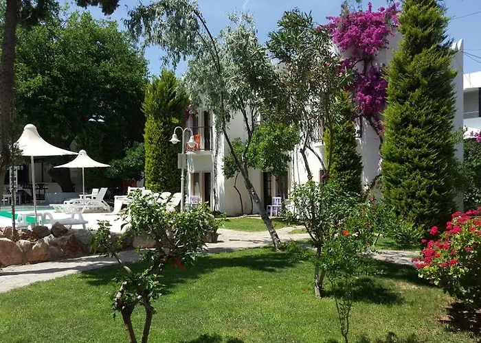 Hotel Safir 2*