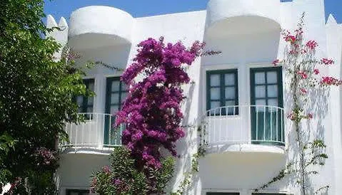 Hotel Safir 2*