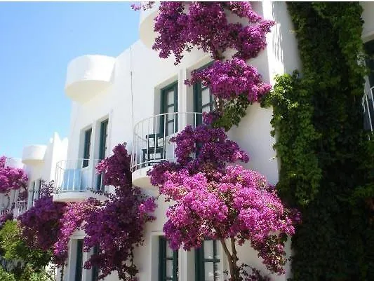 Hotel Safir 2*